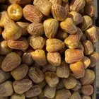 تمر القصيم خراف سنه 1447. جميع مناطق المملكه