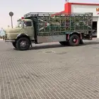بسم الله ماشالله عايدي مور 24 مديل86 كفوو