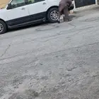 توصيل موظفات مدرسات السواق باكستاني