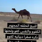 للبيع المجهم الخلفه الكفوو والنفس كفووو