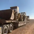 لوبد متواجد في عرعر