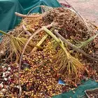 تمر للحلال وخبز ناشف للحلال