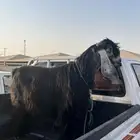 تم البيع