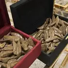 عود المناسبات