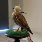 باشق