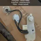 ضفيرة اصطاب خلفي