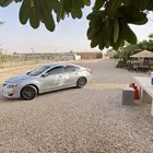 التيما 2016