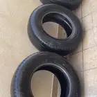 3 حبات كفرات تنفع للجيوب