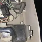 لنبات سقف فورد فل الفل