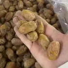 تمر خلاص الاحساء