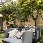 كنب 3 قطع