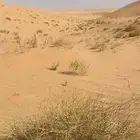 موجود لوحه سياره ح ط ب