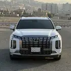 هواندي بالسيد كالجرافي 2023