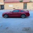 للبيع موستنق