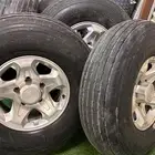 جنوط رفرف وارد الحميد