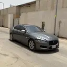 جاكوار 2016 مصدوم