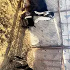 عند كفو تحتها تبوس 2