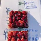 تمر صفري من عرقه للبيع