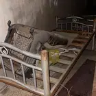 سرير حديد للبيع