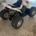 دباب حجم 100 للبيع