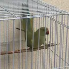 دره هندي