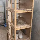 محكرين للبيع