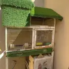 مطير طيور للبيع