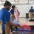 ذبايح
