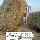 برسيم