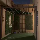 زرع وشجر للجدران وخشب للبيع