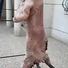 شوي خارجي مشاوي دوار السعادة مشويات تجهيز ذبايح