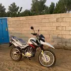 دباب