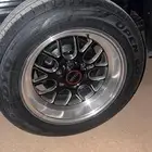 جنوط ويلدات سييرا
