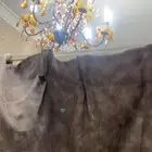 ستارة