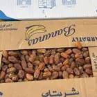 تمر صفري حبه صغير للبيع