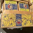 كراتين موز جديدة