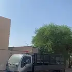 دينا متواجد بحائل