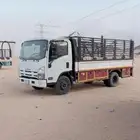 دينه