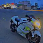 دباب هيبوزاء