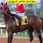 ممطلوب خيال جوكي سباق ضروري