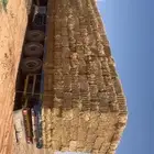 تبن قمح شد شركة