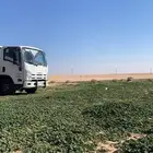 سطحه دينا متواجد في الرياض