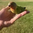 تم البيع الله يبارك للجميع