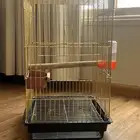 قفص حديد مقوى حجم كبير