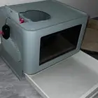 قطط