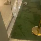 قطط الاثني اليفه باس حتاج علاج و مكان امن و يخاف الله فيها