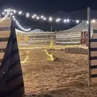 بيتين شعر وحمامات