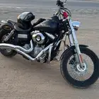 هارلي ستريت بوب