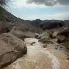 مطلوووب اااررض بالشهيلا بيشه