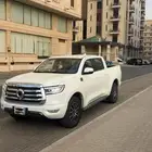 جريت وول باور2021 ( ديزل)